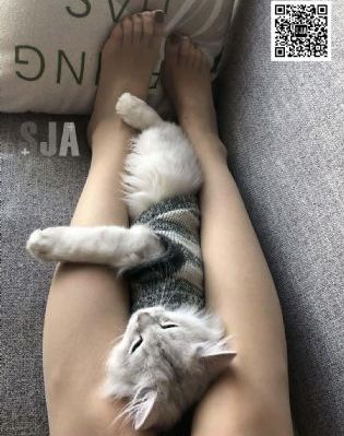 重启之极海听雷第二季免费看