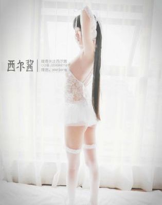 免费理论片在线观看播放