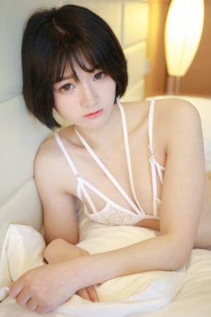 血战丛林免费观看