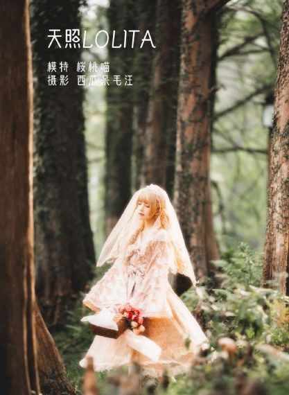 去有风电视剧免费观看
