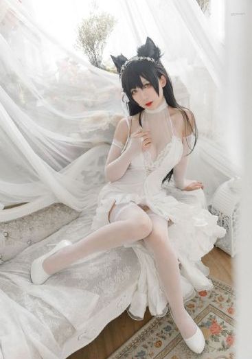 雪狼40集全免费观看