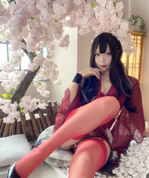 隋唐英雄4电视剧全集免费观看