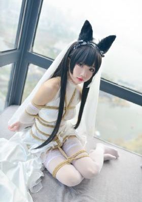 憧憬成为魔法第二季