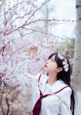陈一龙电视剧叫什么名字